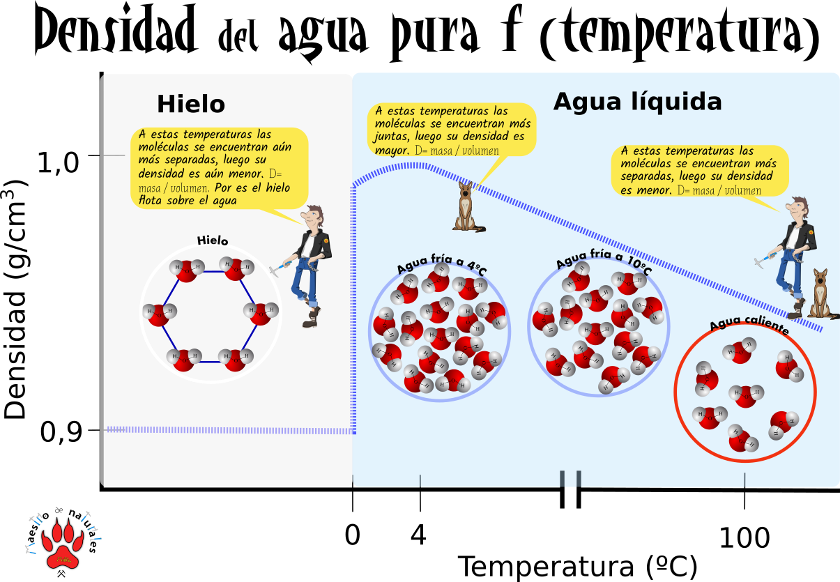 1.4 Propiedades del agua